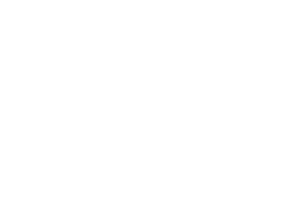 Elegant Elephant Travel Brandmark